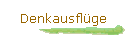 Denkausflüge