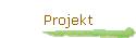 Projekt