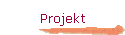 Projekt